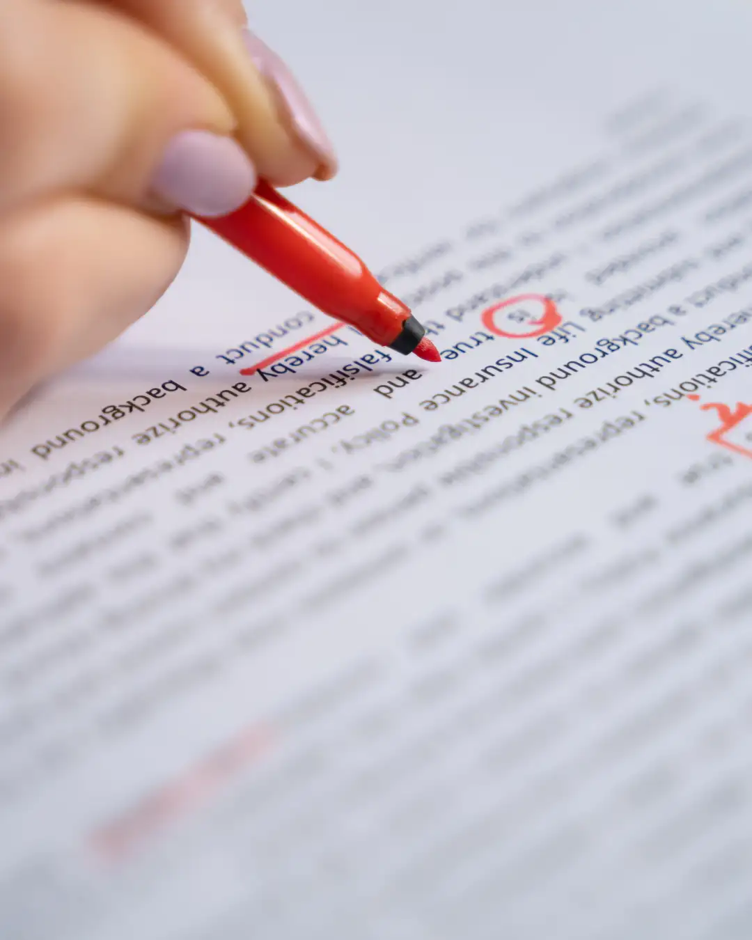 Lektorat & Qualität